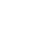 pdt-icon